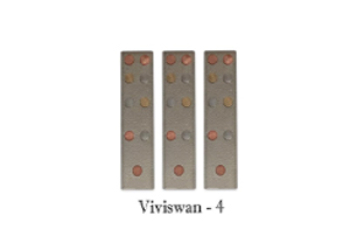 VASTU DEVTA DIVS 04 VIVISWAN  (Set-3)