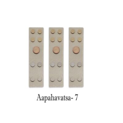 VASTU DEVTA DIVS 07 AAPHAVASTA (Set-3)