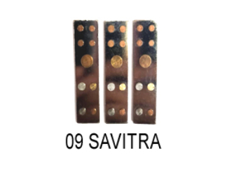 VASTU DEVTA DIVS 09 SAVITRA (Set-3)