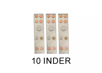 VASTU DEVTA DIVS 10 INDER (Set-3)