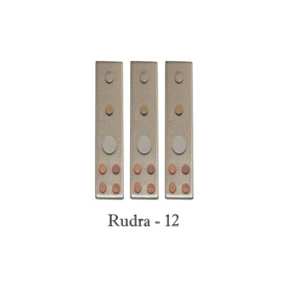 VASTU DEVTA DIVS 12 RUDRA (Set-3) - Image 2