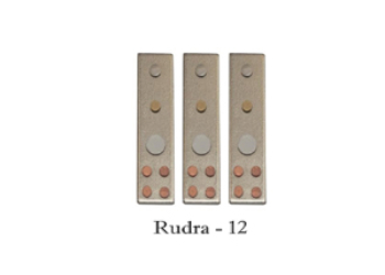 VASTU DEVTA DIVS 12 RUDRA (Set-3)