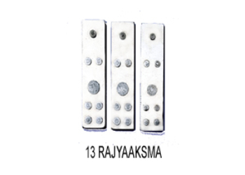 VASTU DEVTA DIVS 13 RAJYAAKSMA (Set-3)