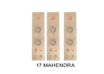 VASTU DEVTA DIVS 17 MAHENDRA (Set-3)