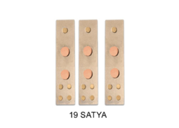 VASTU DEVTA DIVS 19 SATYA (Set-3)