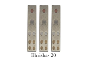 VASTU DEVTA DIVS 20 BHRISHA (Set-3)