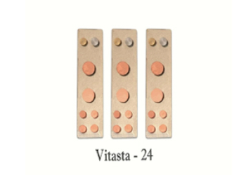 VASTU DEVTA DIVS 24 VITASTA (Set-3)