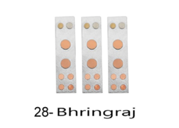 VASTU DEVTA DIVS 28 BHRINGRAJ (Set-3)