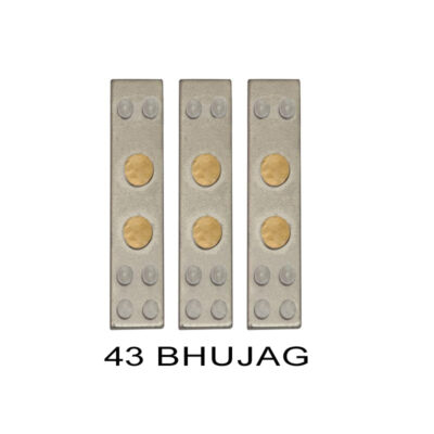 VASTU DEVTA DIVS 43 BHUJAG (Set-3) - Image 2