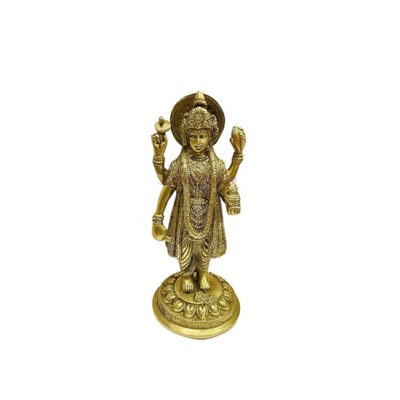 Dhanvantari Ji 7x14cm